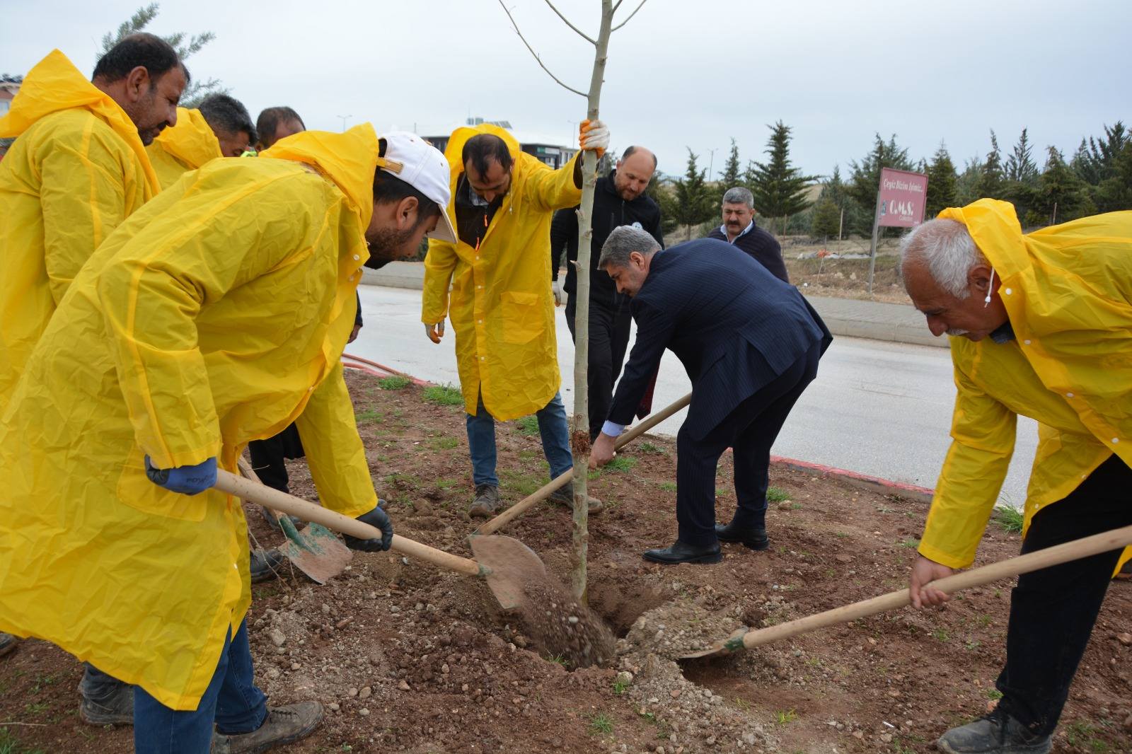 Besni Belediyesi Ağaç Dikimi4