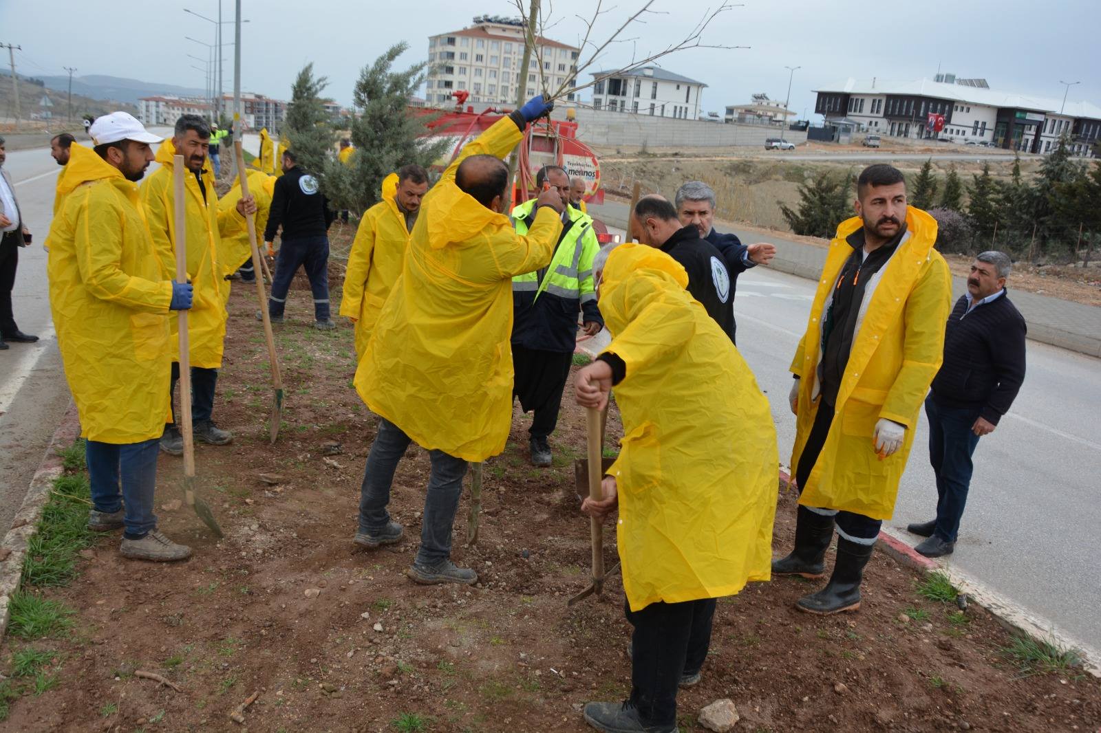 Besni Belediyesi Ağaç Dikimi5