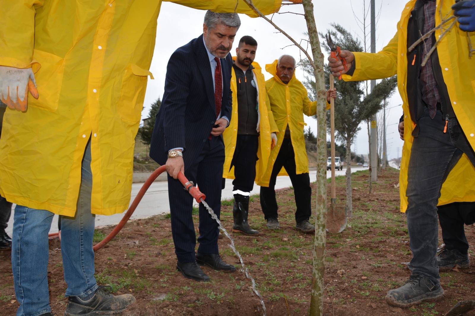 Besni Belediyesi Ağaç Dikimi6