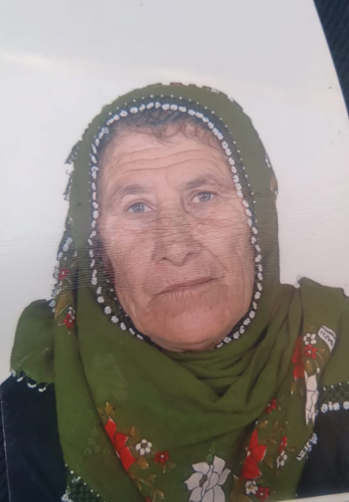 Ayşe Polat-1