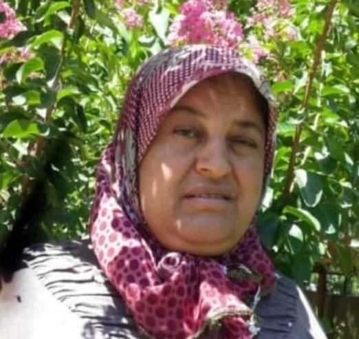Fındık Doğan
