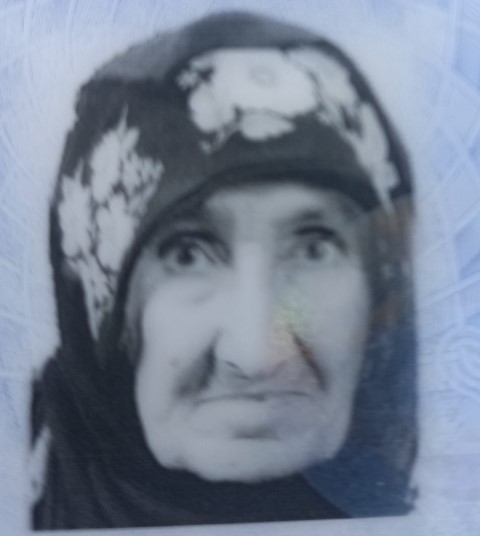Hati̇ce Şahi̇n-1