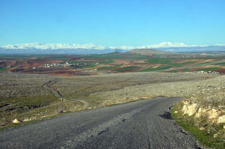 Bes 3173 (Küçük) (Küçük)