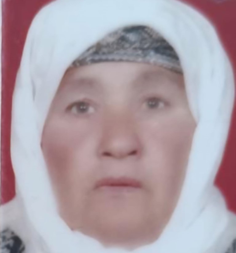 Türkan Hanım Girgin