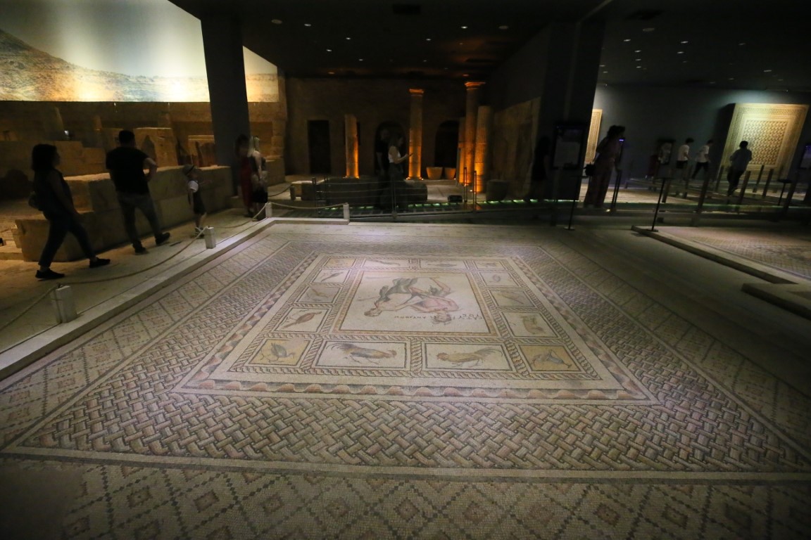 Zeugma Mozaik Müzesi Bayram (3) (Orta)