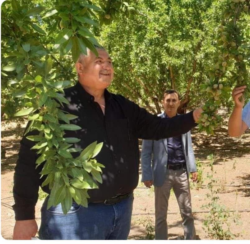 Badem Hasadi 2