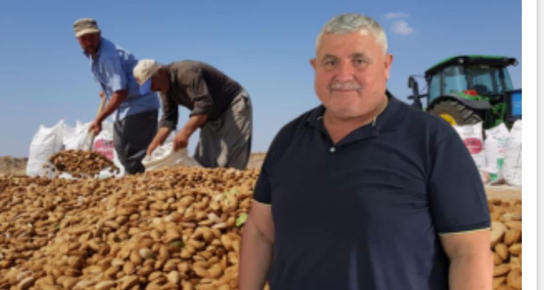 Badem Hasadi 3