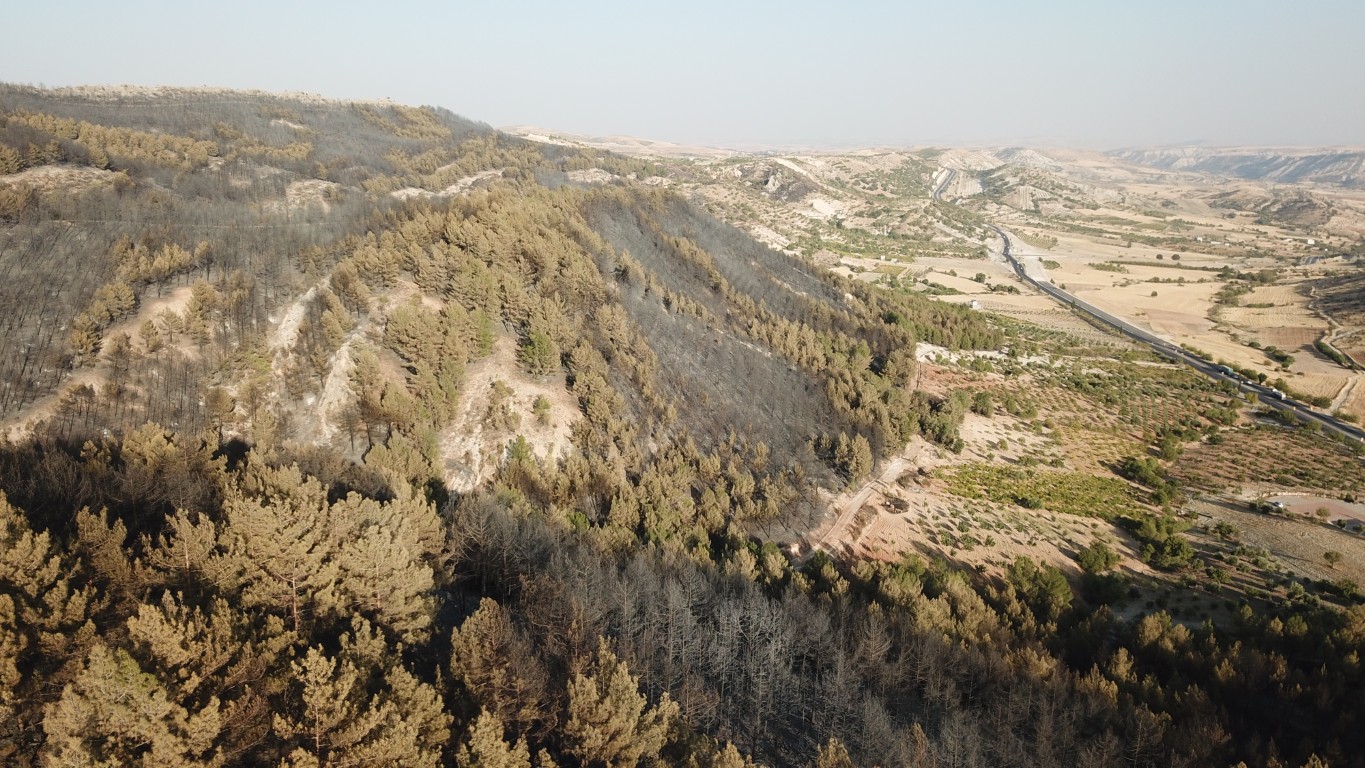 Besni Orman Yangın (1)