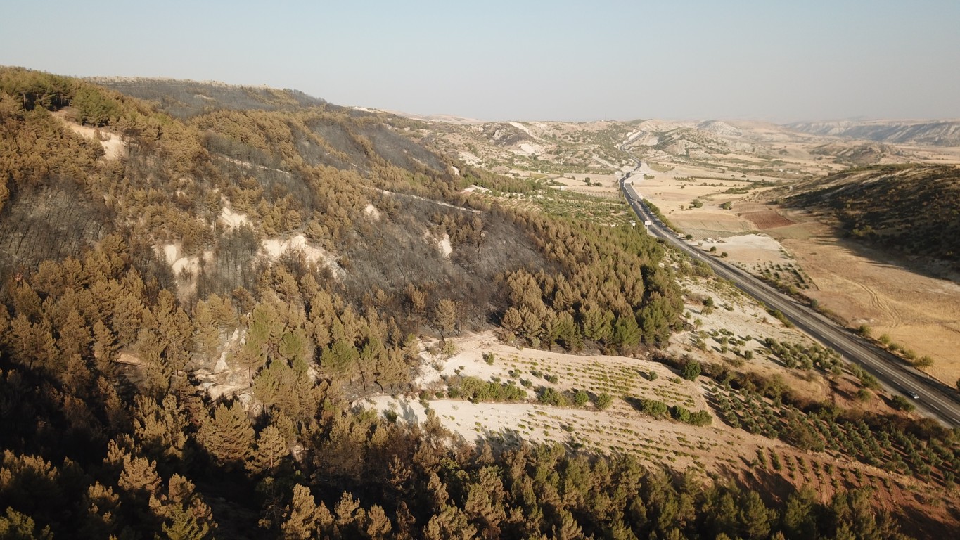 Besni Orman Yangın (4)