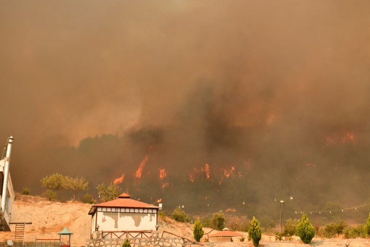 Besni Orman Yangını (2)