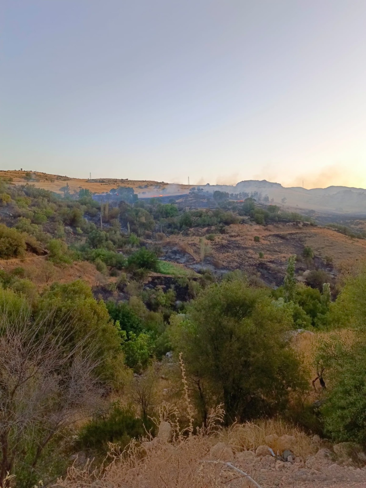 Besni Yangın-3