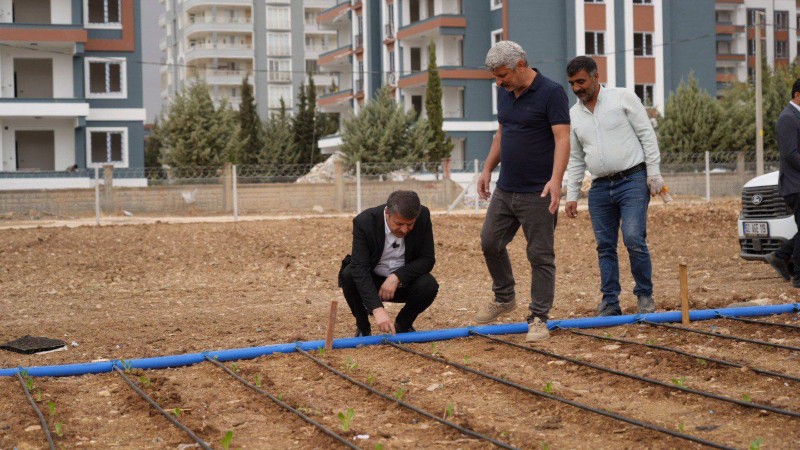 Adıyaman Belediyesi Sebze Üretimine Başladı1