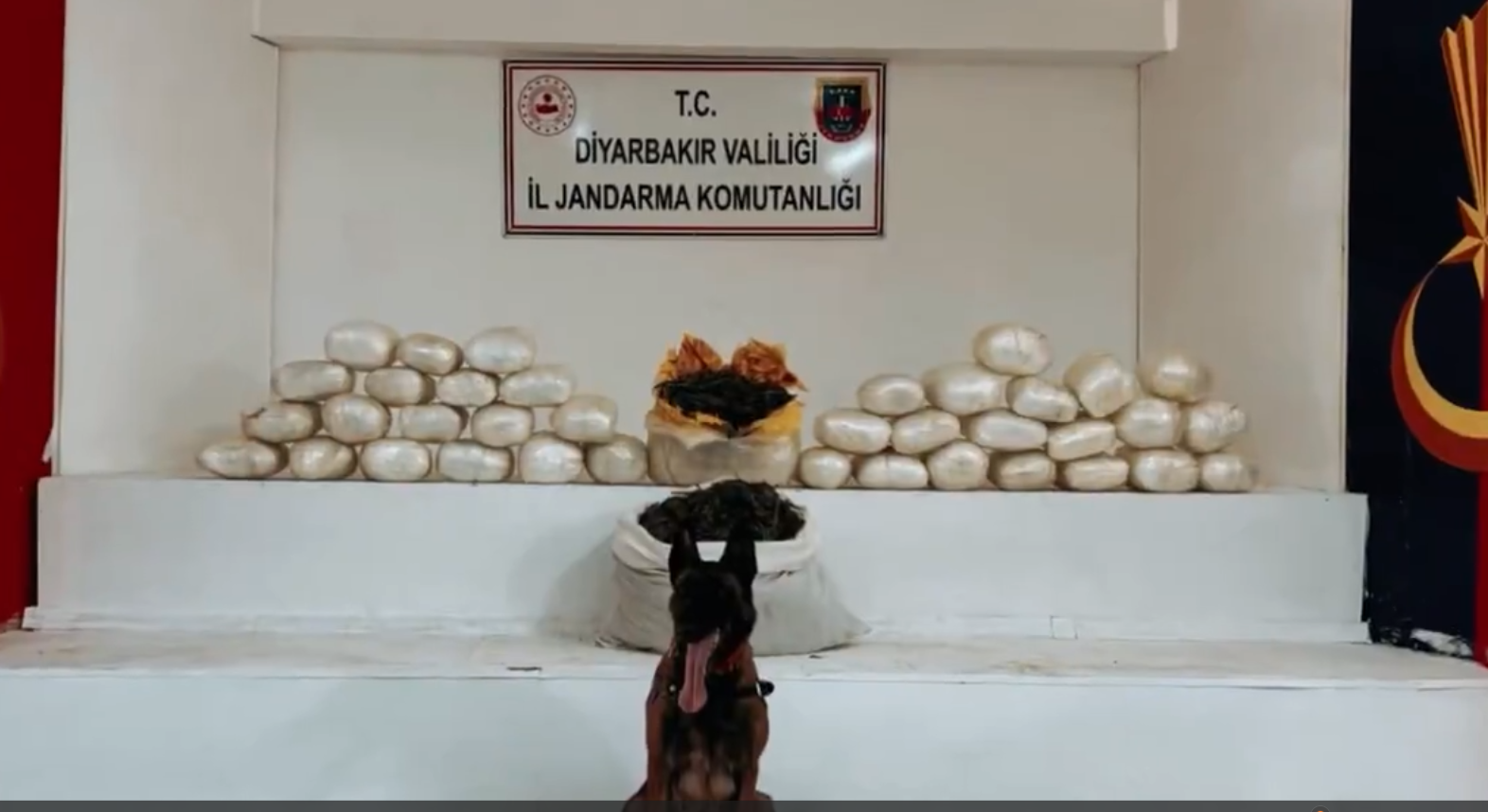 Diyarbakır Operasyon1