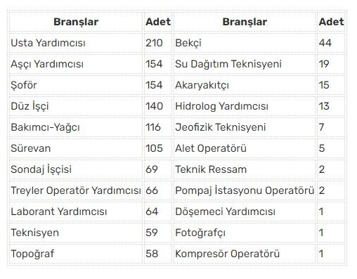 Dsi̇ İşçi̇ Alimi Personel