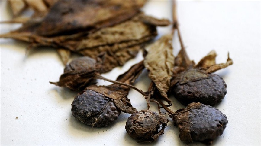 Gıda Terörü! 10 Günde 54 Zehirlenme! 3 Can Gitti5