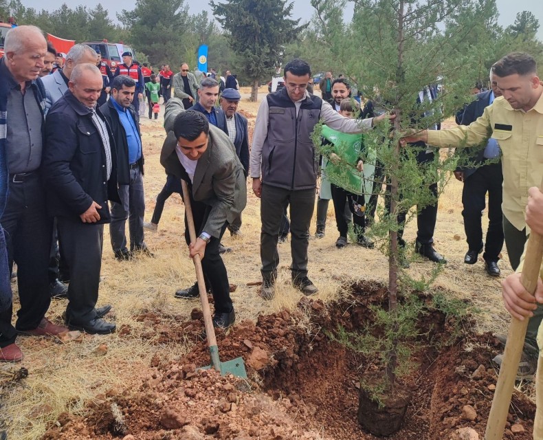 Gölbaşılı Çevreciler Belören’de Fidan Dikti