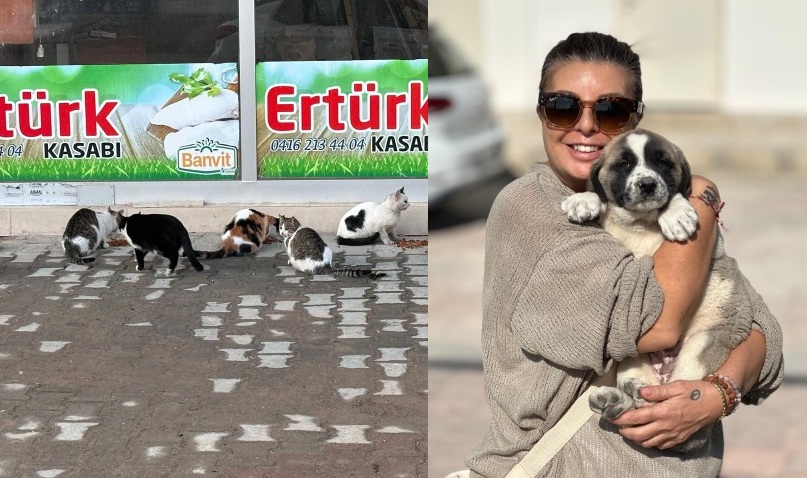 Nemrut Rotary’den “Sokaktaki Canlara” Mama1