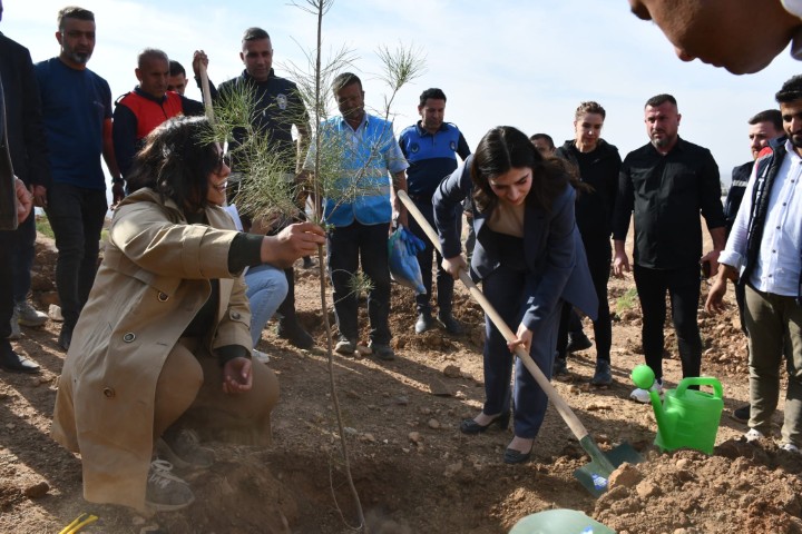 Silopi Yeşil Bir Gelecek İçin Fidanlar Toprakla Buluştu1