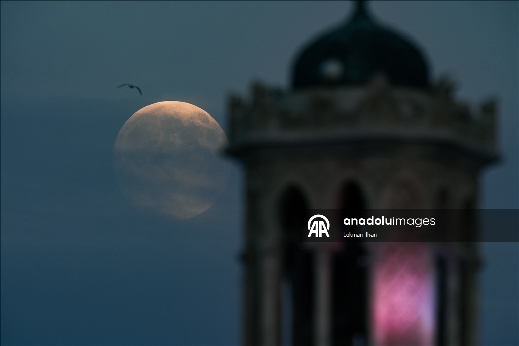 Thumbs B2 040Cdf1Bd6951Bc3B6Ddf931Bbcf6457