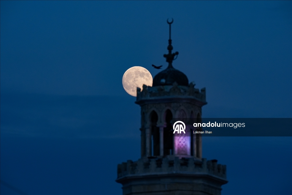 Thumbs B2 24941Fc1426Fdddcd642F3A718Aff856