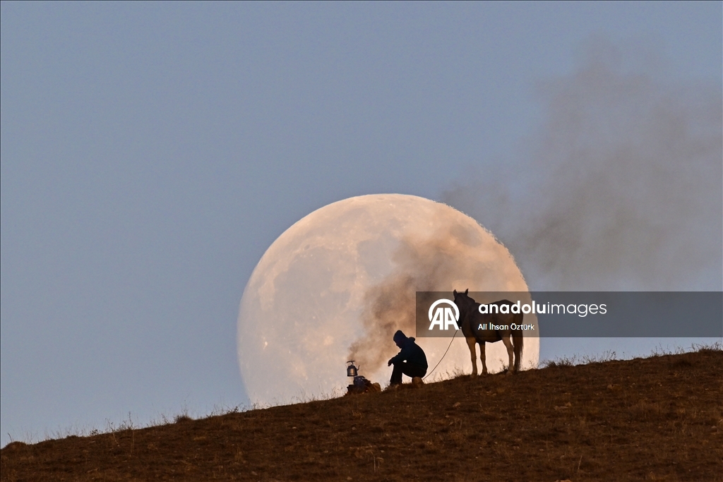 Thumbs B2 3Ea67218041E38046B328Dce00202E42