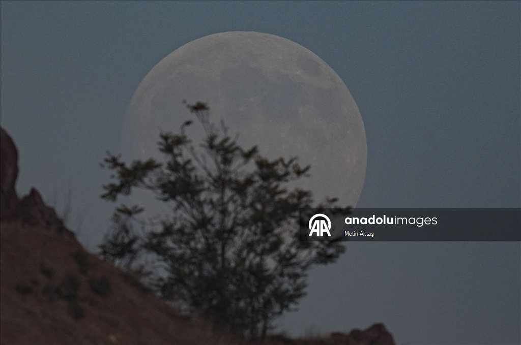 Thumbs B2 55B397031A470761B6Aa6A92C737870D