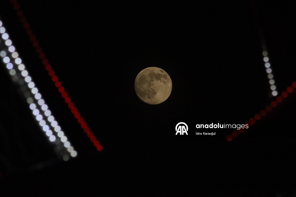 Thumbs B2 7Adb80F8B7F7B04B45A0160A94226423