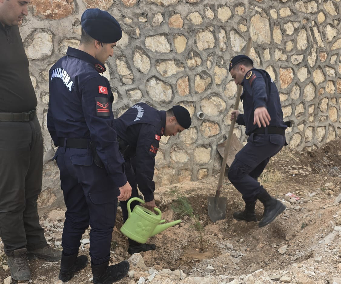 Whatsapp Image 2025 11 11 At 13.16.10