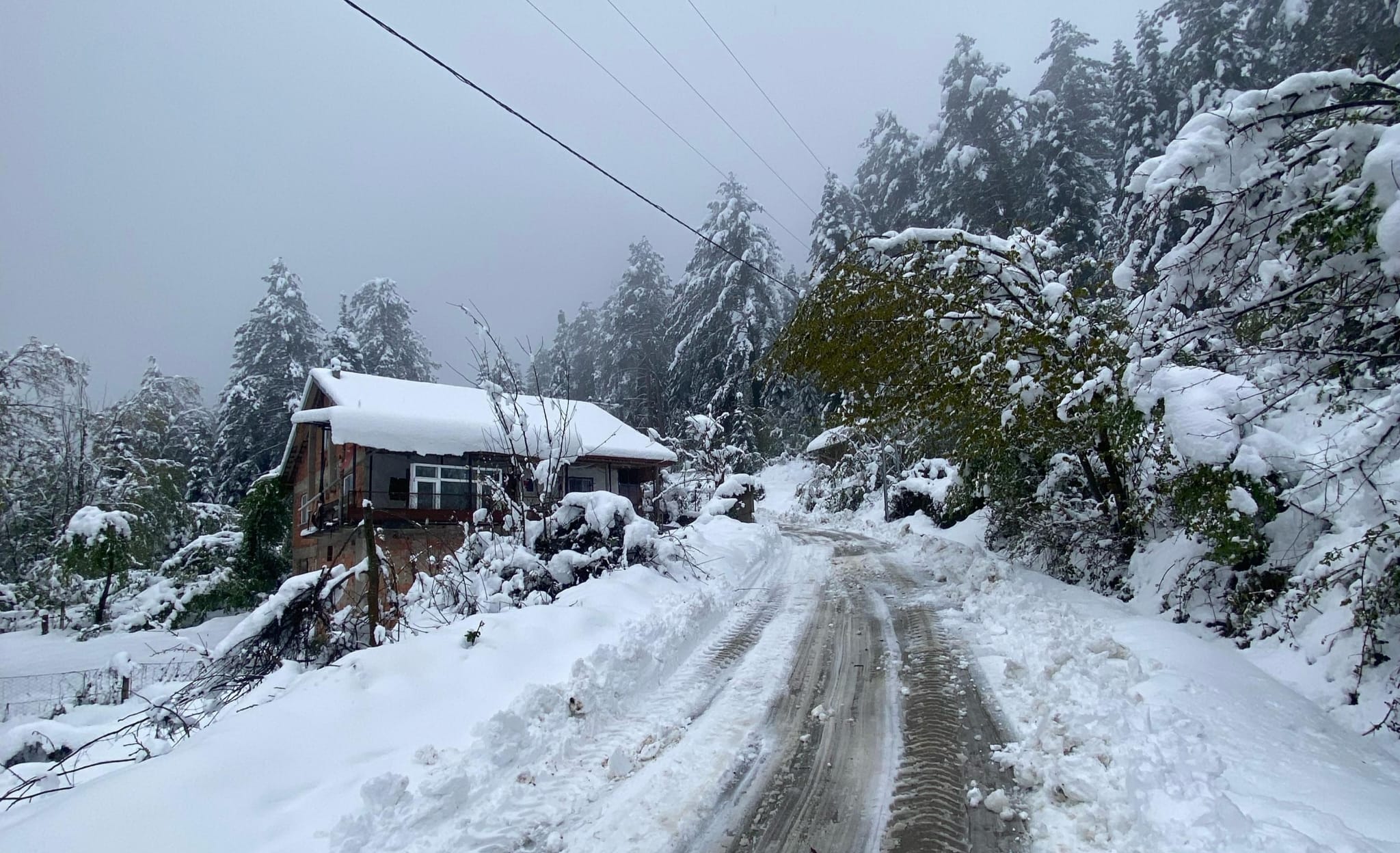 Whatsapp Image 2025 11 15 At 14.11.56