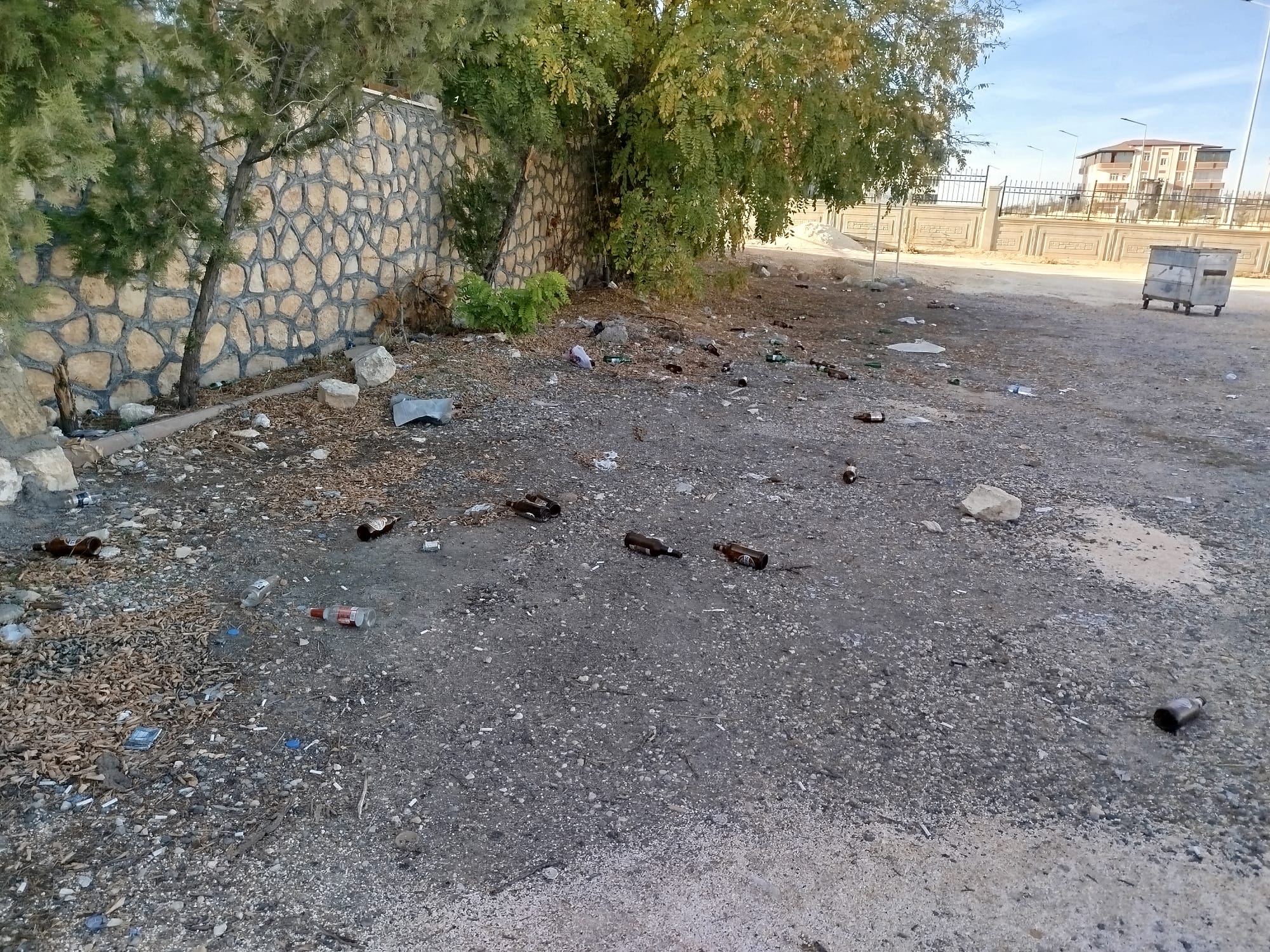 Whatsapp Image 2025 11 21 At 15.55.10