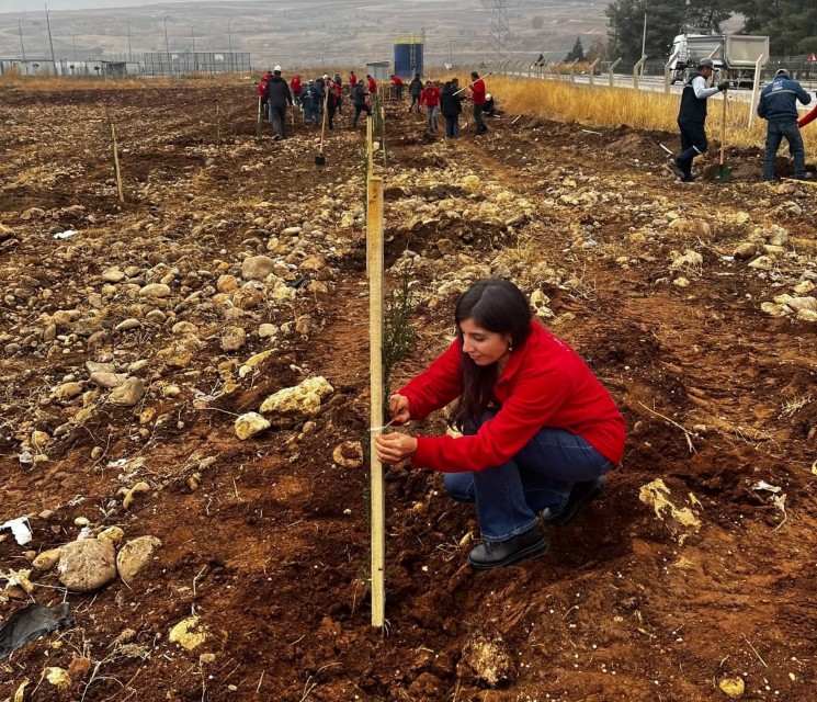 Çi̇mko’nun Fabrika Bahçesine Fidan Dikildi2