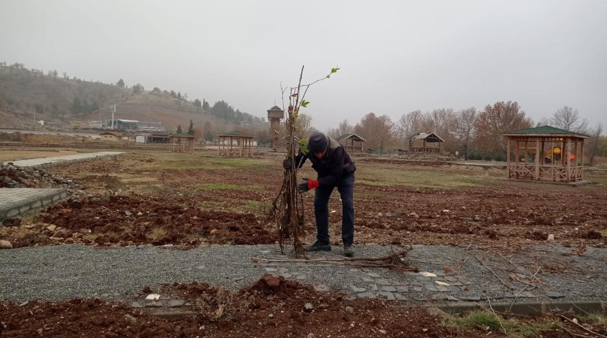 Gölbaşı Doğa Park’ına Fidan Dikildi1