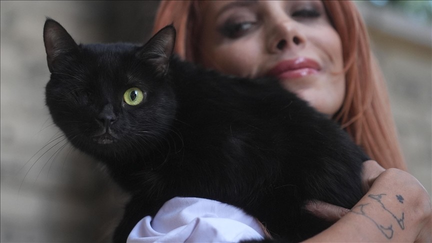 Kedilerin Davranışları Sahibinin Cinsiyetine Bağlıymış2