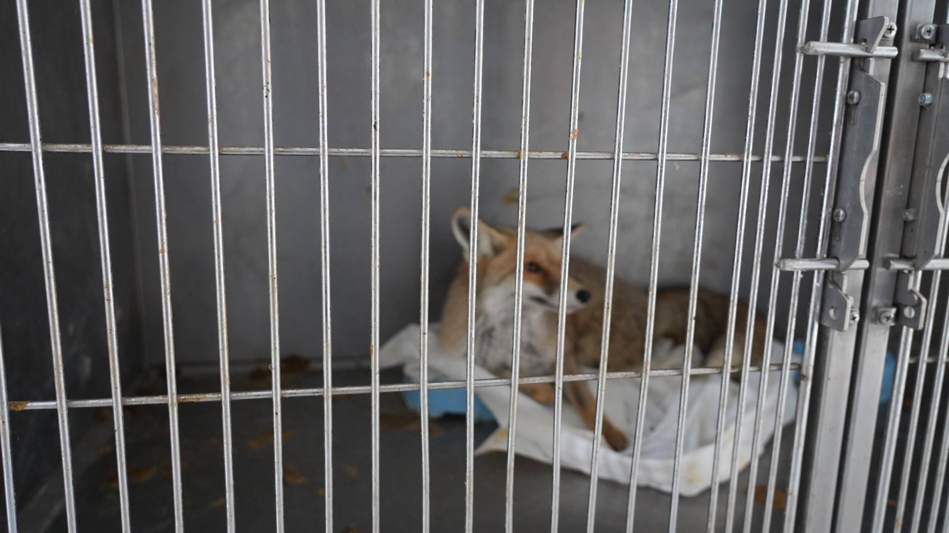 Whatsapp Image 2025 12 07 At 15.23.37