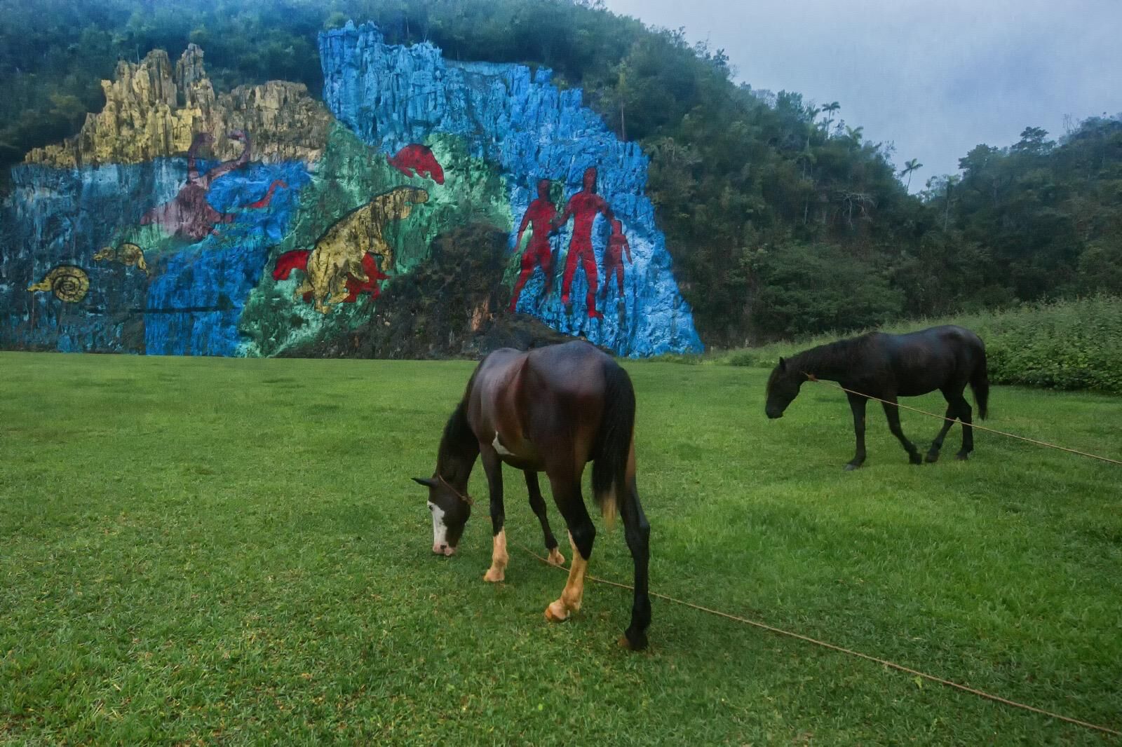 Whatsapp Image 2025 12 25 At 10.47.48 (1)