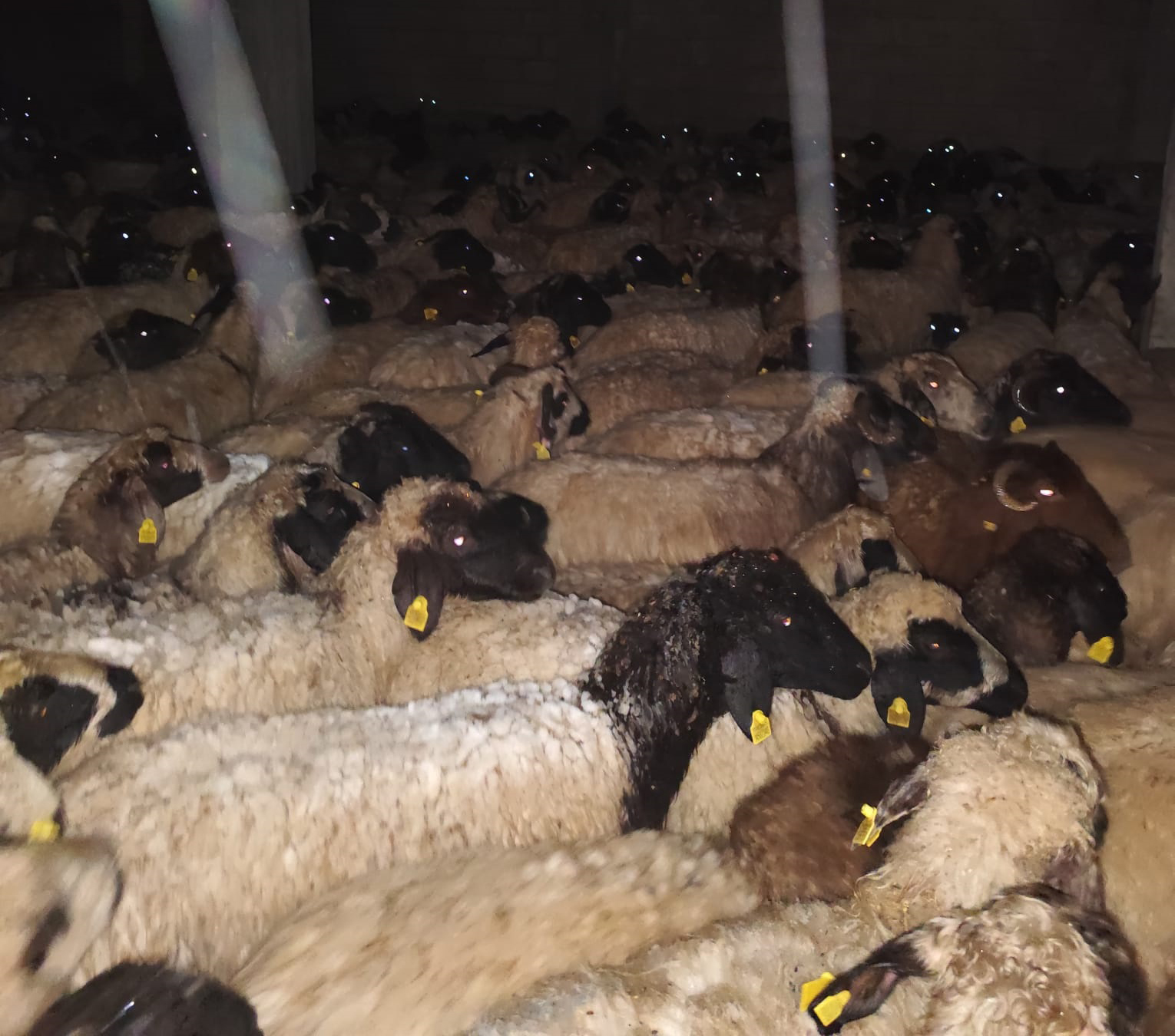 Whatsapp Image 2025 12 31 At 19.31.11