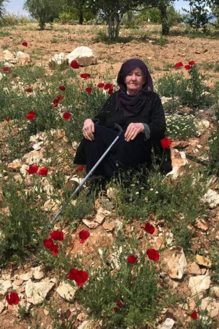 29798Fc4 C442 483F B64E 931D7D064709