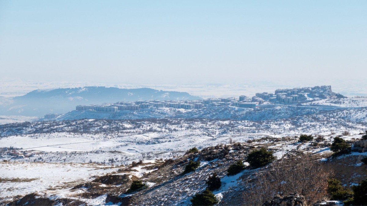 Adıyaman'da Karda Aç Kalan Yaban Domuzları İndere Bolgesine Indi Videolu Haber