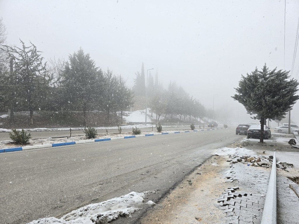 B3E3F0E8 82E8 4D70 96Cf 325A59518654-2