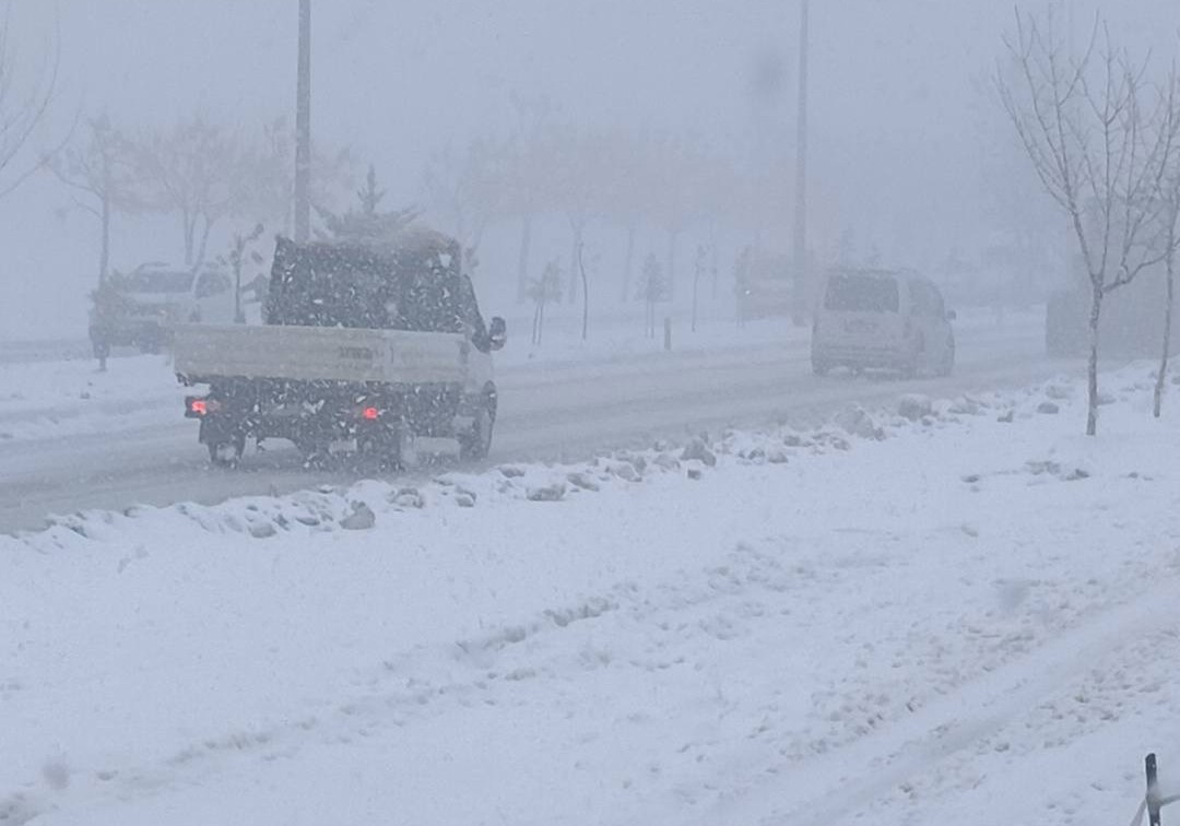 Ea28C5D8 E6Bc 45Cc A418 E09E3D3C0Ca4