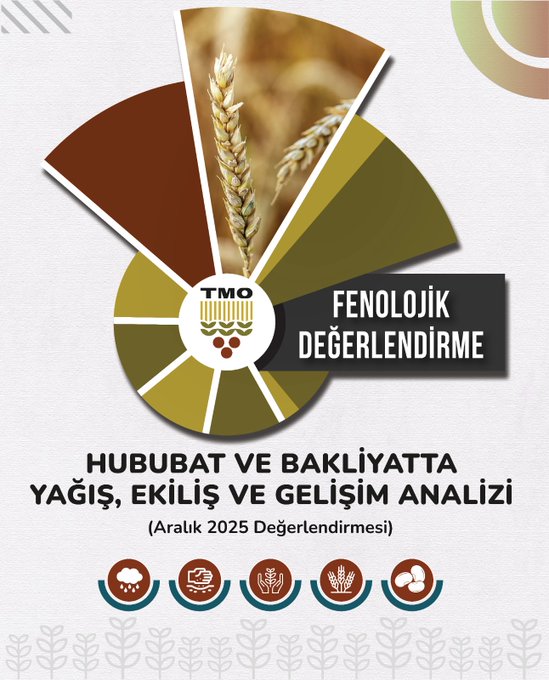 Fenolojik Değerlendirme Raporu