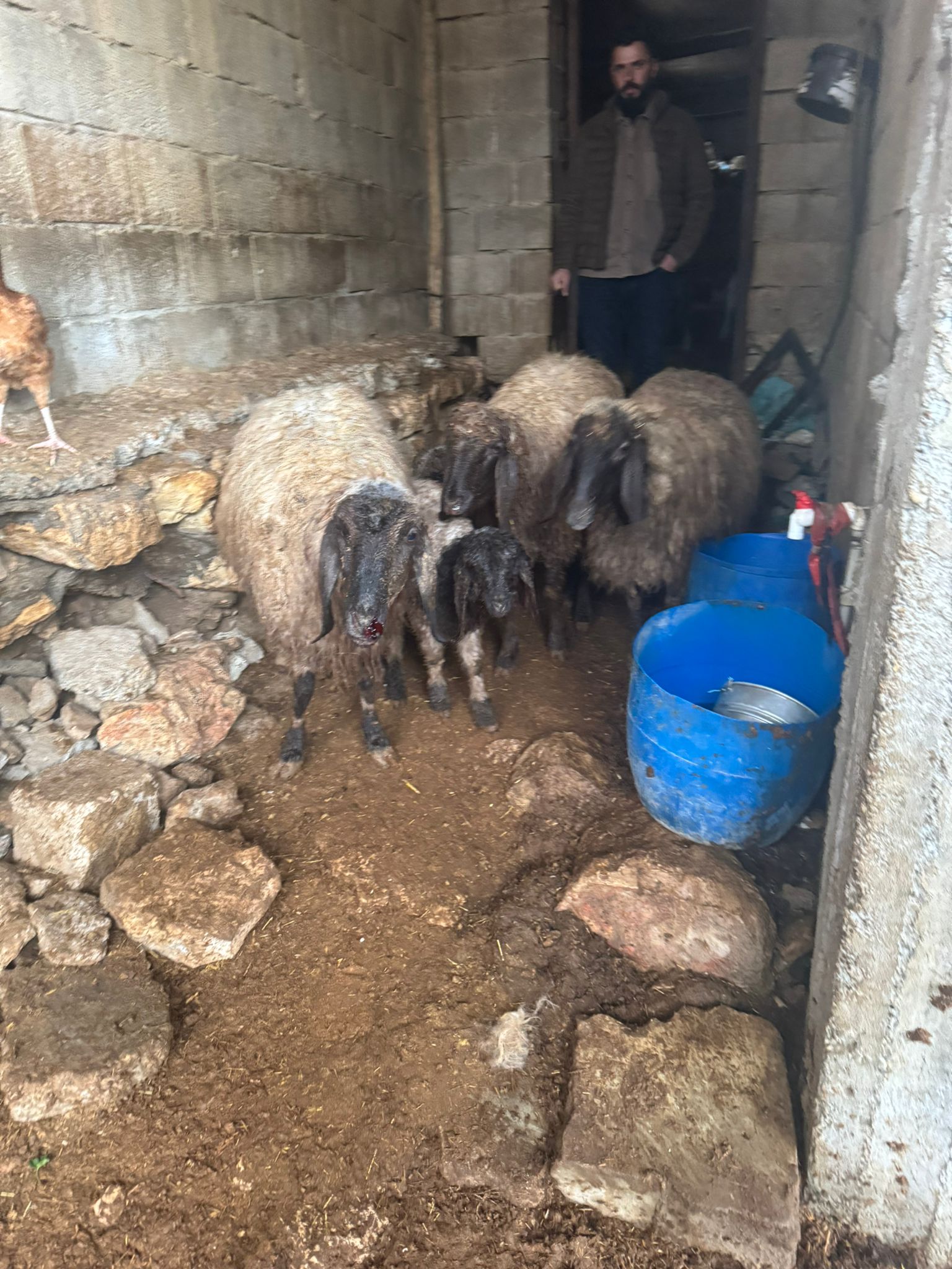 Whatsapp Image 2026 01 31 At 18.21.41