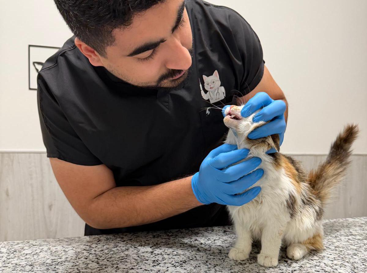 Whatsapp Image 2026 02 03 At 13.30.28 (1)