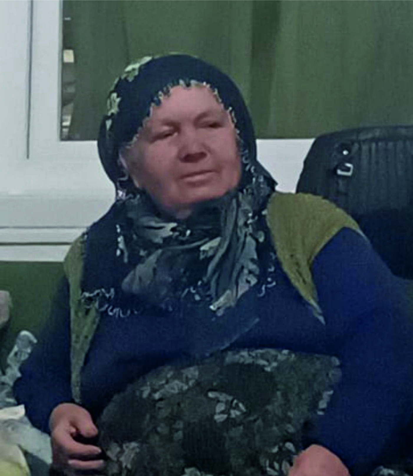 Fatma Arslan1