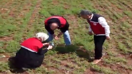 Adıyaman’da Tarım Çalışmaları Sahada Sürüyor3