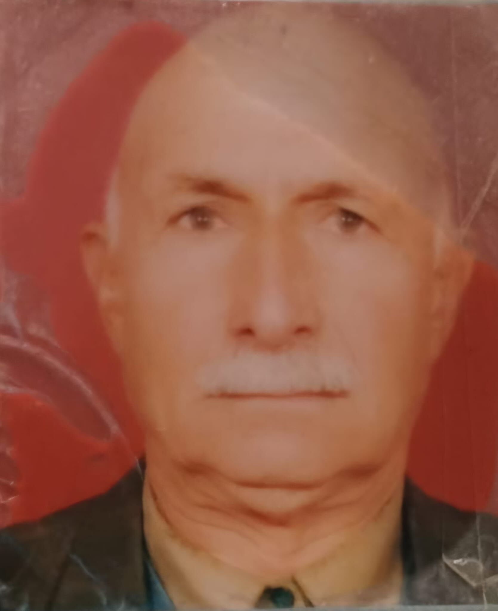 Hamo Ayhan