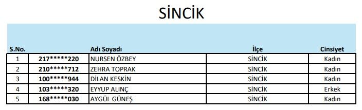 Sincik-1