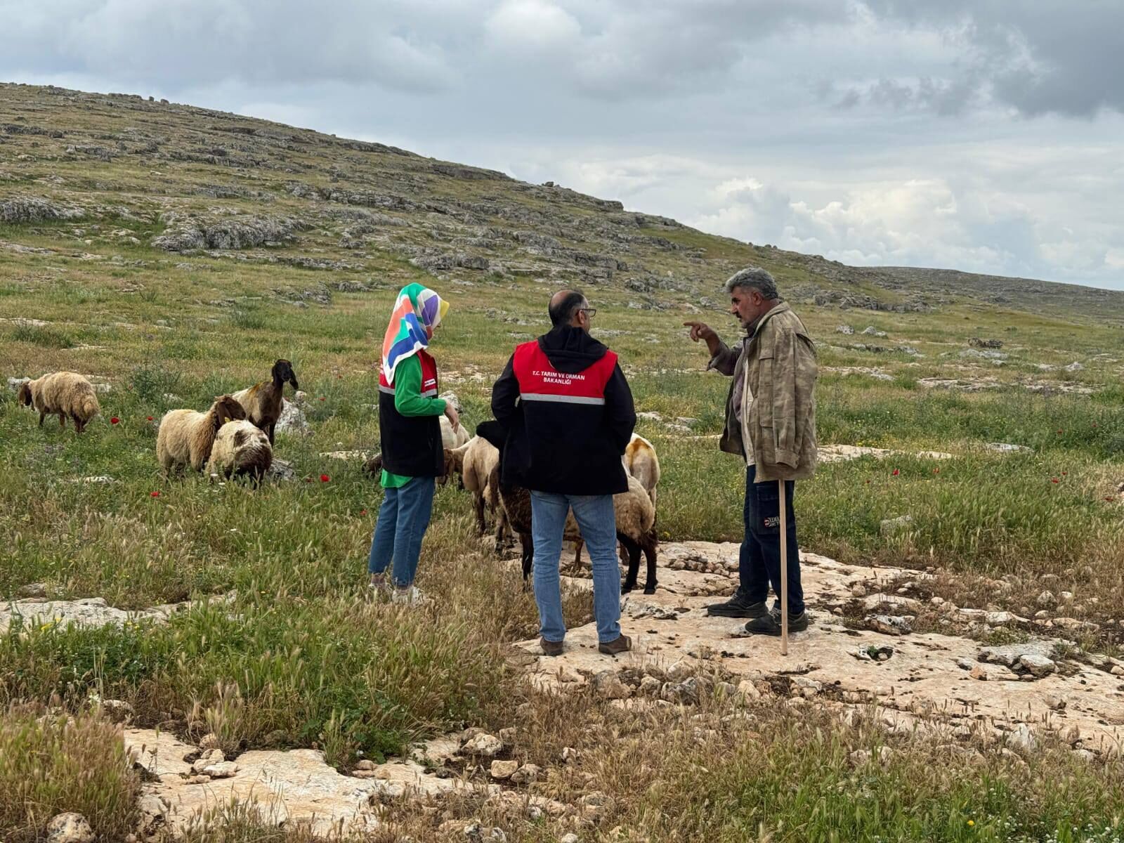 Adıyaman’da Meralar İçin Yerinde İnceleme