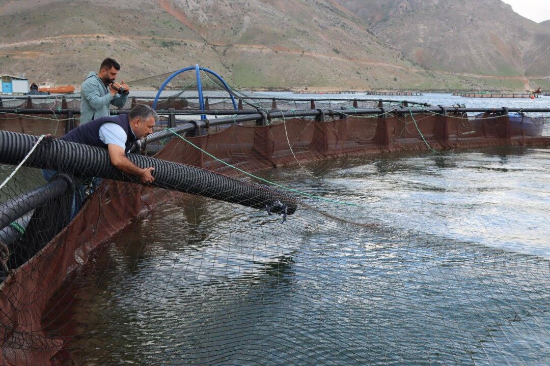 Adıyaman'da Su Ürünleri Kapasitesi 5 Bin 660 Tona Çıkacak4 (Özel)