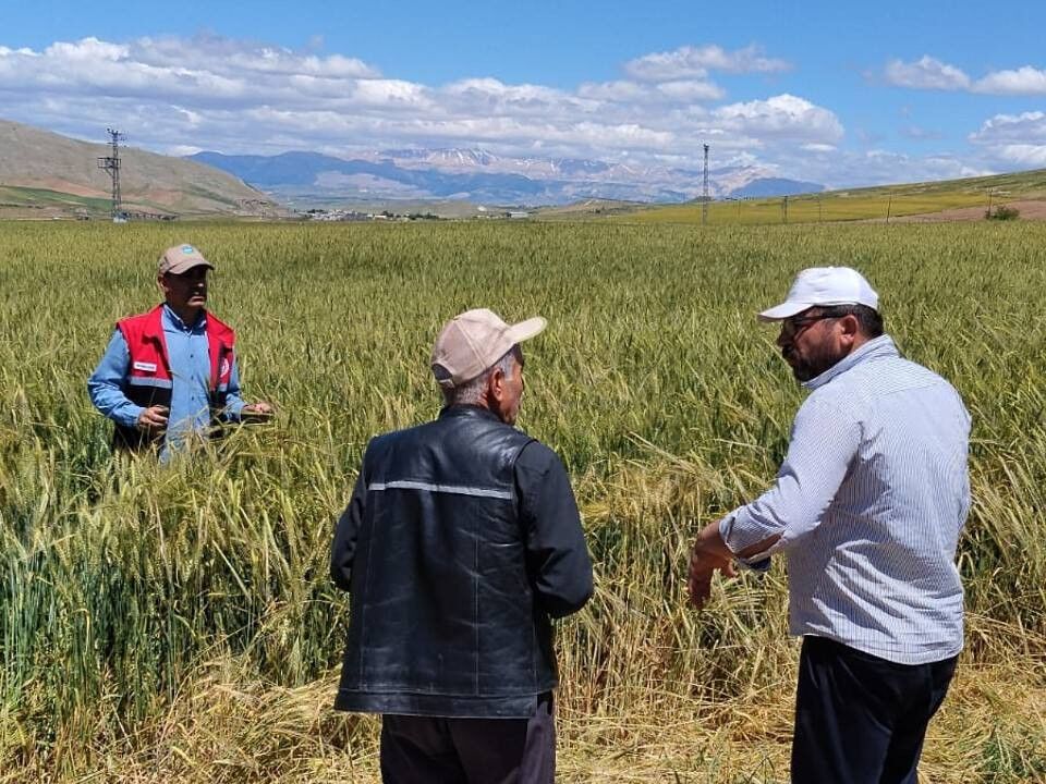 Adıyaman’da Süne Mücadelesi Çalışmaları Sürüyor1